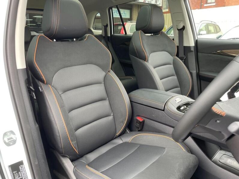 
								New Skywell BE11 full									