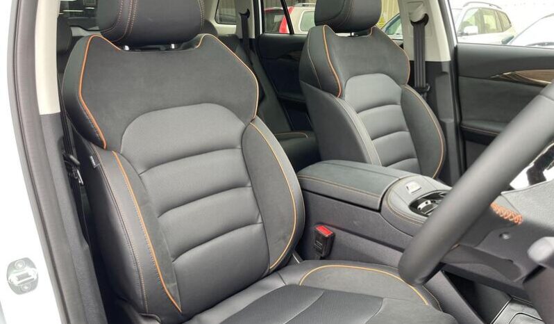 
								New Skywell BE11 full									