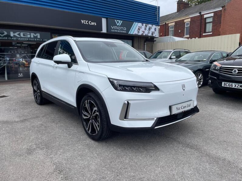 
								New Skywell BE11 full									