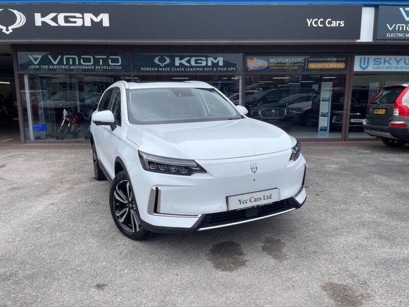 
								New Skywell BE11 full									