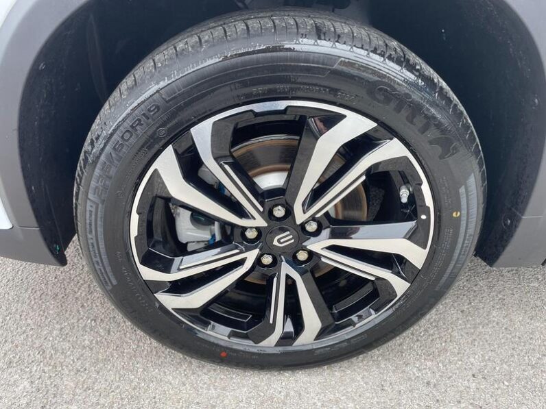 
								New Skywell BE11 full									