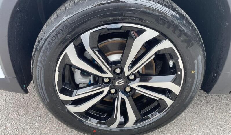 
								New Skywell BE11 full									