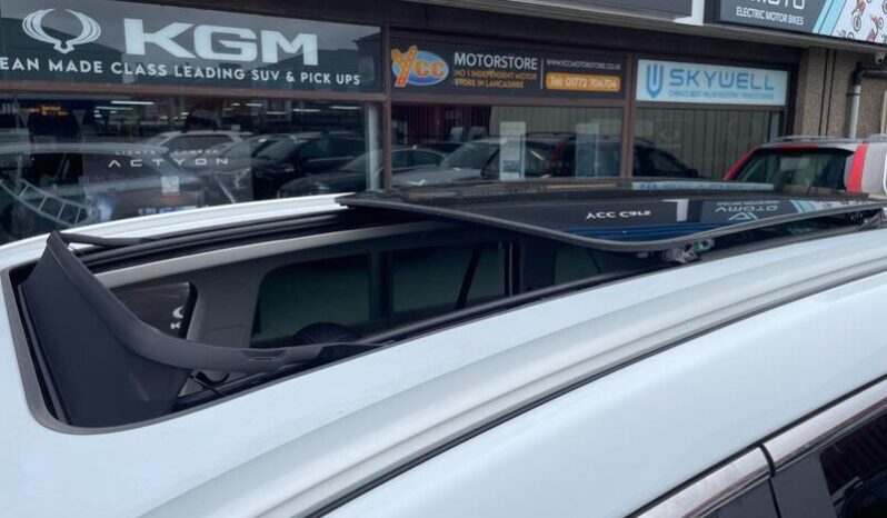 
								New Skywell BE11 full									