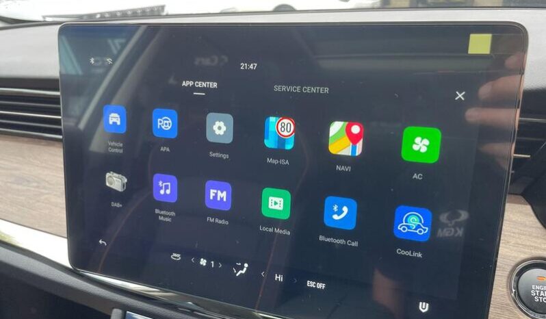 
								New Skywell BE11 full									