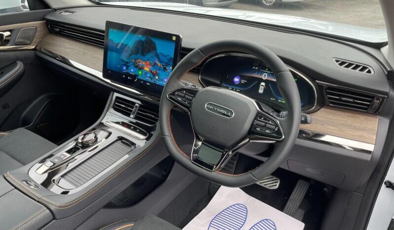 
								New Skywell BE11 full									