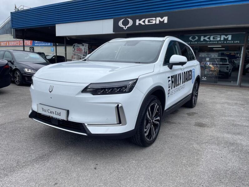 
								New Skywell BE11 full									