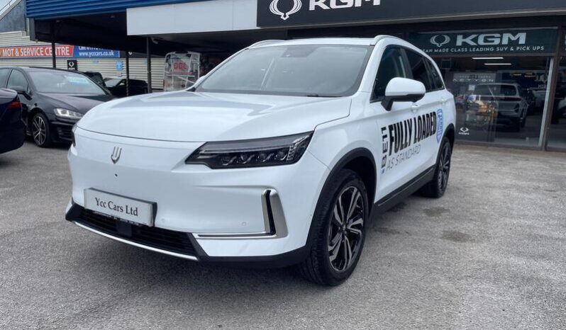 
								New Skywell BE11 full									