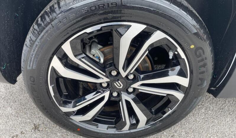 
								New Skywell BE11 full									